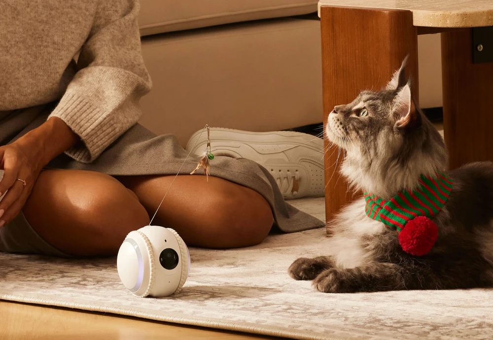 best home camera system for pets
